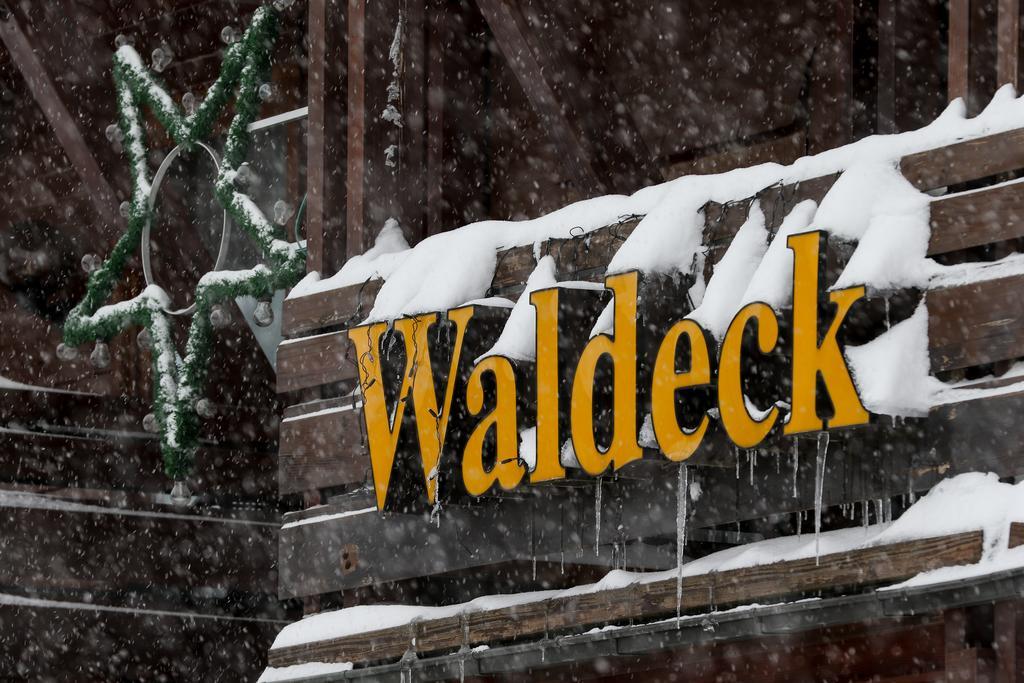 Gaestehaus Waldeck 蒂蒂湖-新城 外观 照片